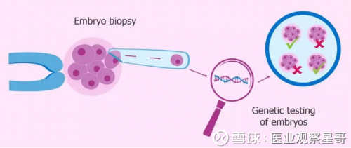 成都助孕相关公司，成都捐卵机构电话,2026年成都地区没有结婚证可不可以做试管(为什么没有结婚证不能做试管)