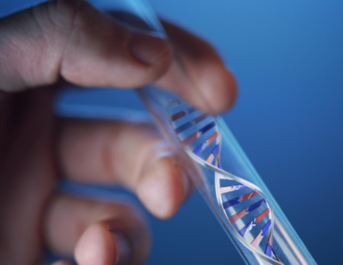 成都可做三代试管婴儿医院名单！包含了哪些项目！