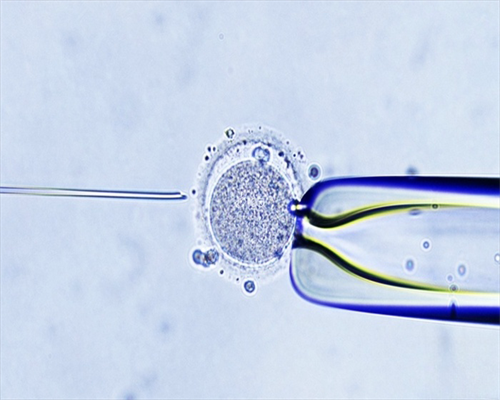 成都代生正规的机构_成都助孕中介有没有,了解试管婴儿不用去成都了！广汉市人民医院就可以