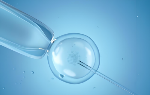 成都知名捐卵公司,成都哪家医院的试管技术最先进！多少钱一疗程！